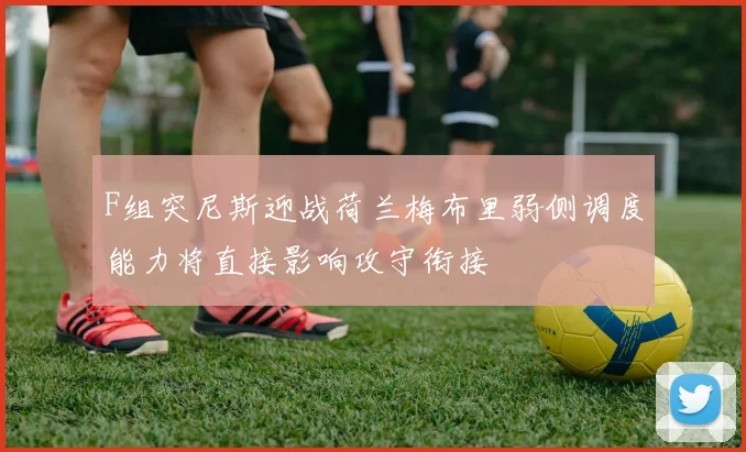 F组突尼斯迎战荷兰梅布里弱侧调度能力将直接影响攻守衔接